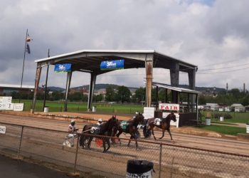 Indiana (Pa) fair meetings to be livestreamed