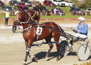 Williamson spring firepower