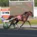 $21,000 trot features won by longshot and favorite 1