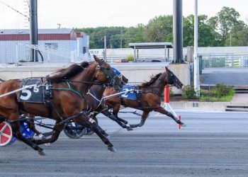 Itsrockandroll A wins his fifth race of the year