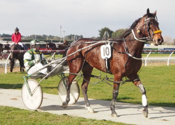 Doug jumps for Jenny Gump