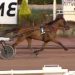 Grand Trio Ludois Gr. III winner at Cagnes