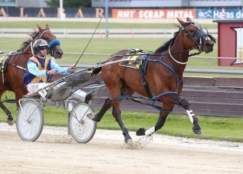 Lakelsa heads Todd’s weekend chances