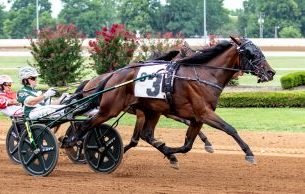 Leading Lady set for showdown in KSS series