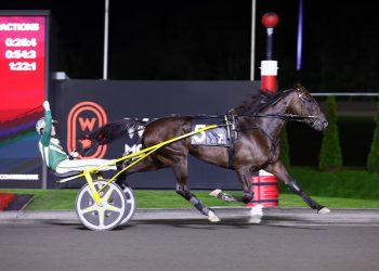 Lexus Kody sizzles winning $630,000 Maple Leaf Trot