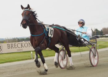 Green and Dewe ready for Southern Surge