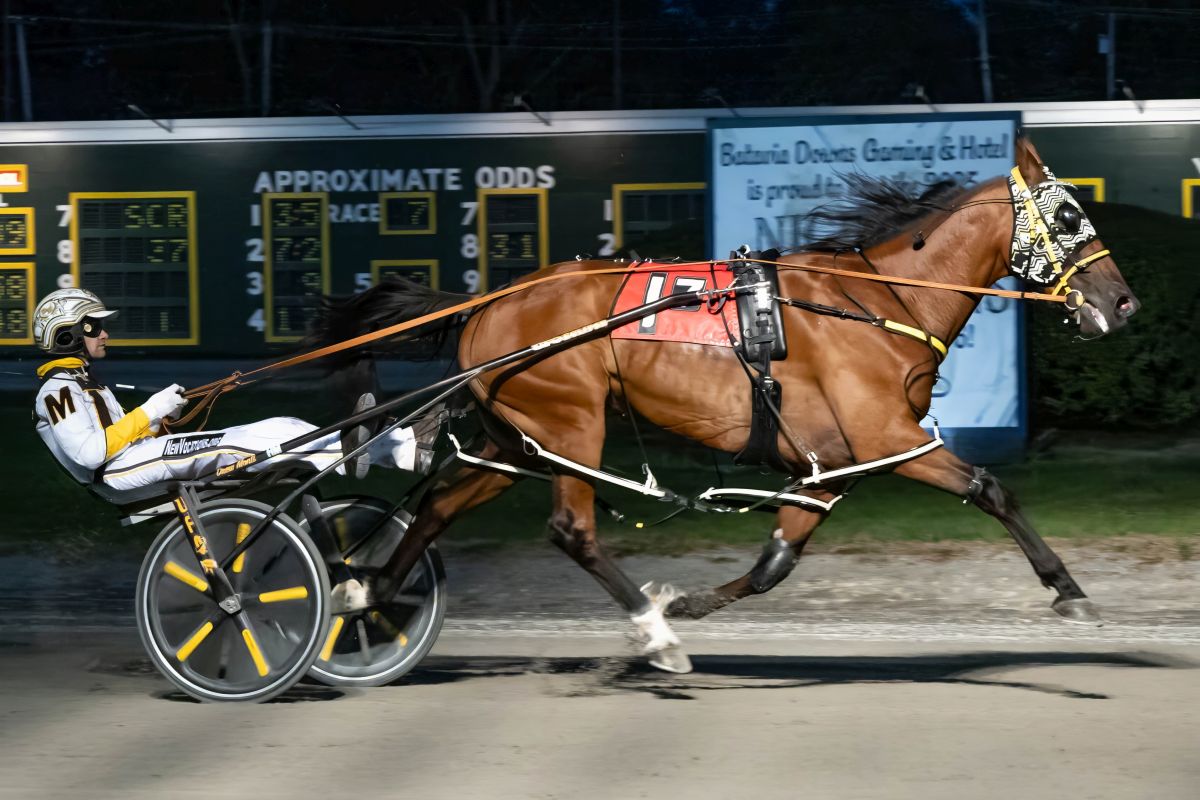 International flair displayed at Batavia 2