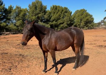 Ooh La La – She’s very chic!