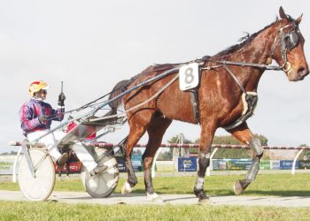 Fitting result for Beckers