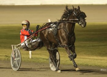 Malignity victorious in P.E.I. Colt Stakes Graduate final