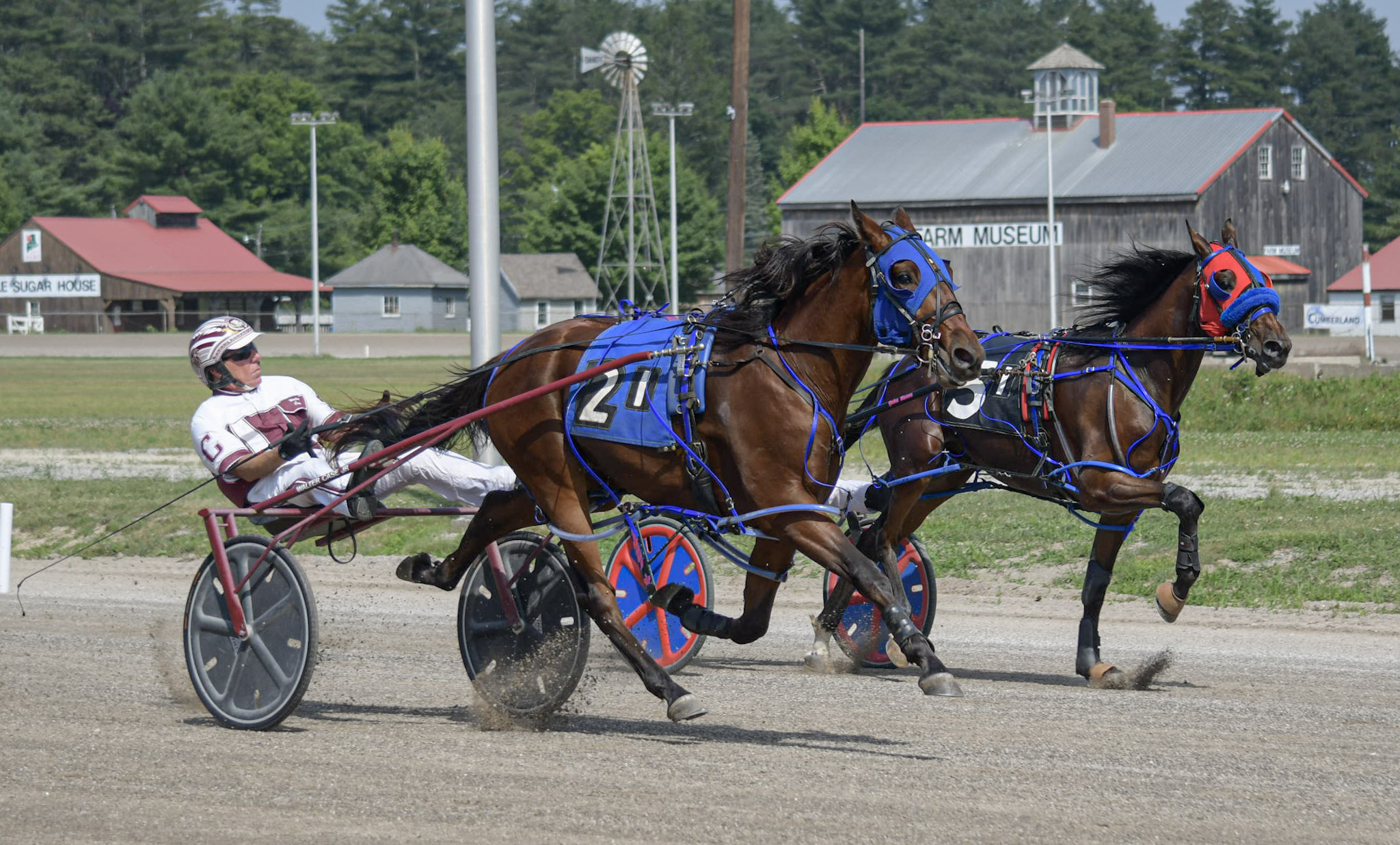 Pacing colts invade closing weekend 1
