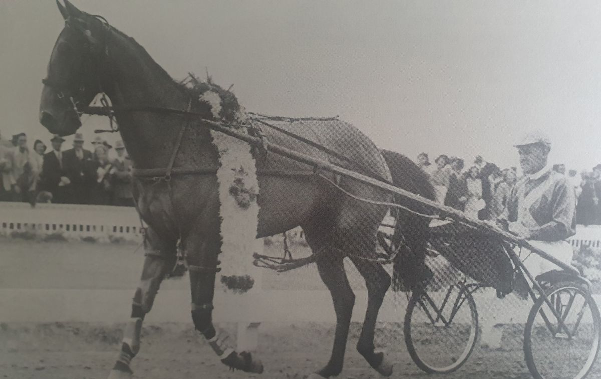 Maurice Holmes the Maestro 1