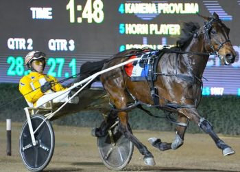 Max Delight returns with a vengeance at Menangle in 1.48.9