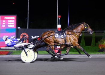 Maximus Miki upsets in $690,000 Canadian Pacing Derby