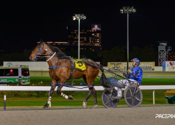 Menemsha in boilover takes August Cup