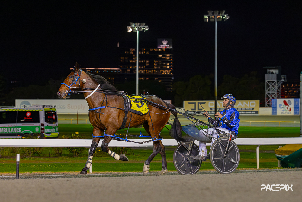 Menemsha in boilover takes August Cup 1