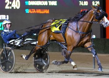 Miki To Success opens claims to Eureka spot