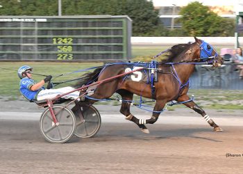 Miki Shan N leads from go to whoa