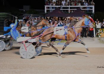 Ex Kiwi wins $100,000 Gold Cup And Saucer