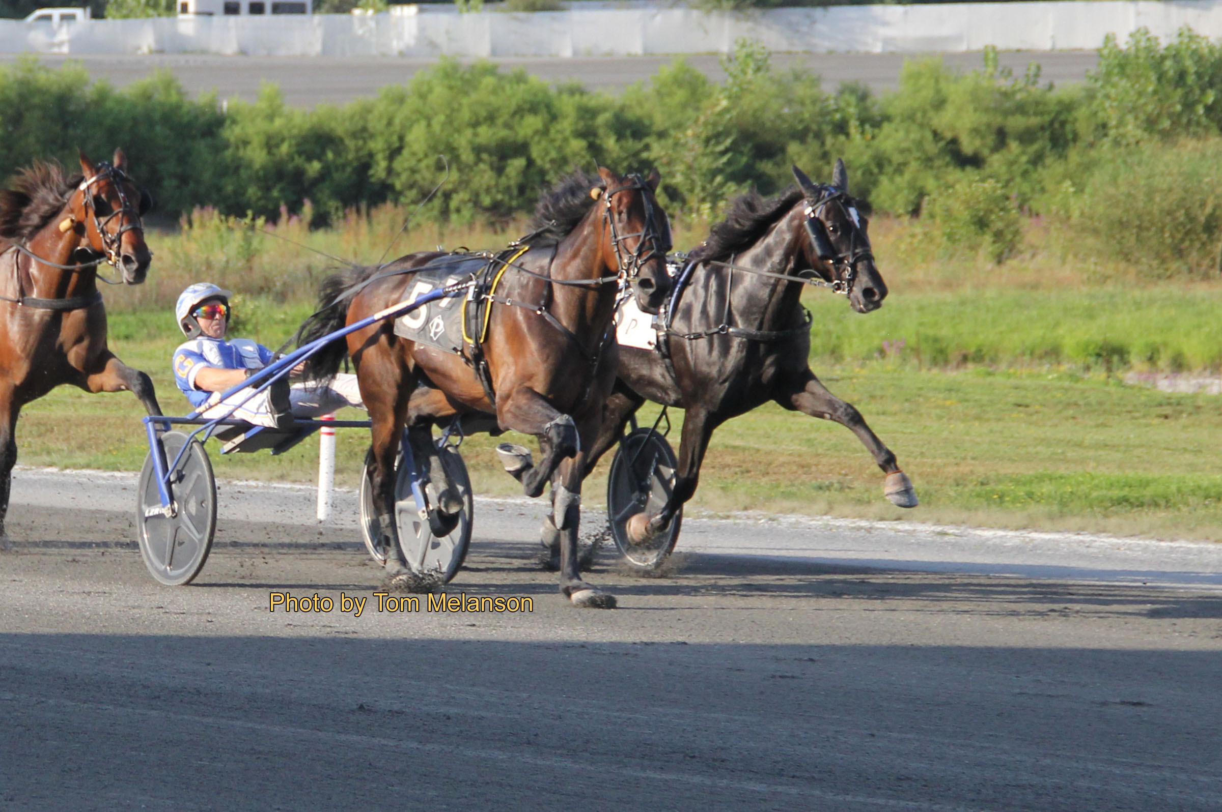 Race of a lifetime for Ex-Kiwi mare 2