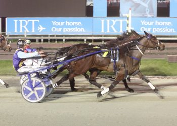 Mo’unga seals NZ Cup start after impressive win