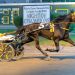 Monti gets a five bagger 3 Monti wins five including co-feature at Batavia Downs