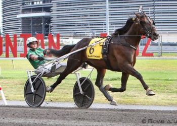 Nordic Catcher S wins $1 million 100th Hambletonian