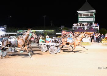 Nuttin But Finesse victorious in  Gold Cup & Saucer Consolation