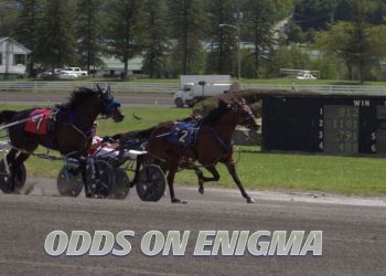 Sires stakes heats won by progeny of Huntsville, American Ideal