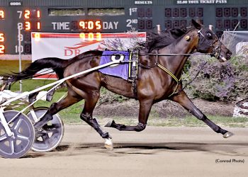 Oh Look Magic equals world record on five-eighths-mile track