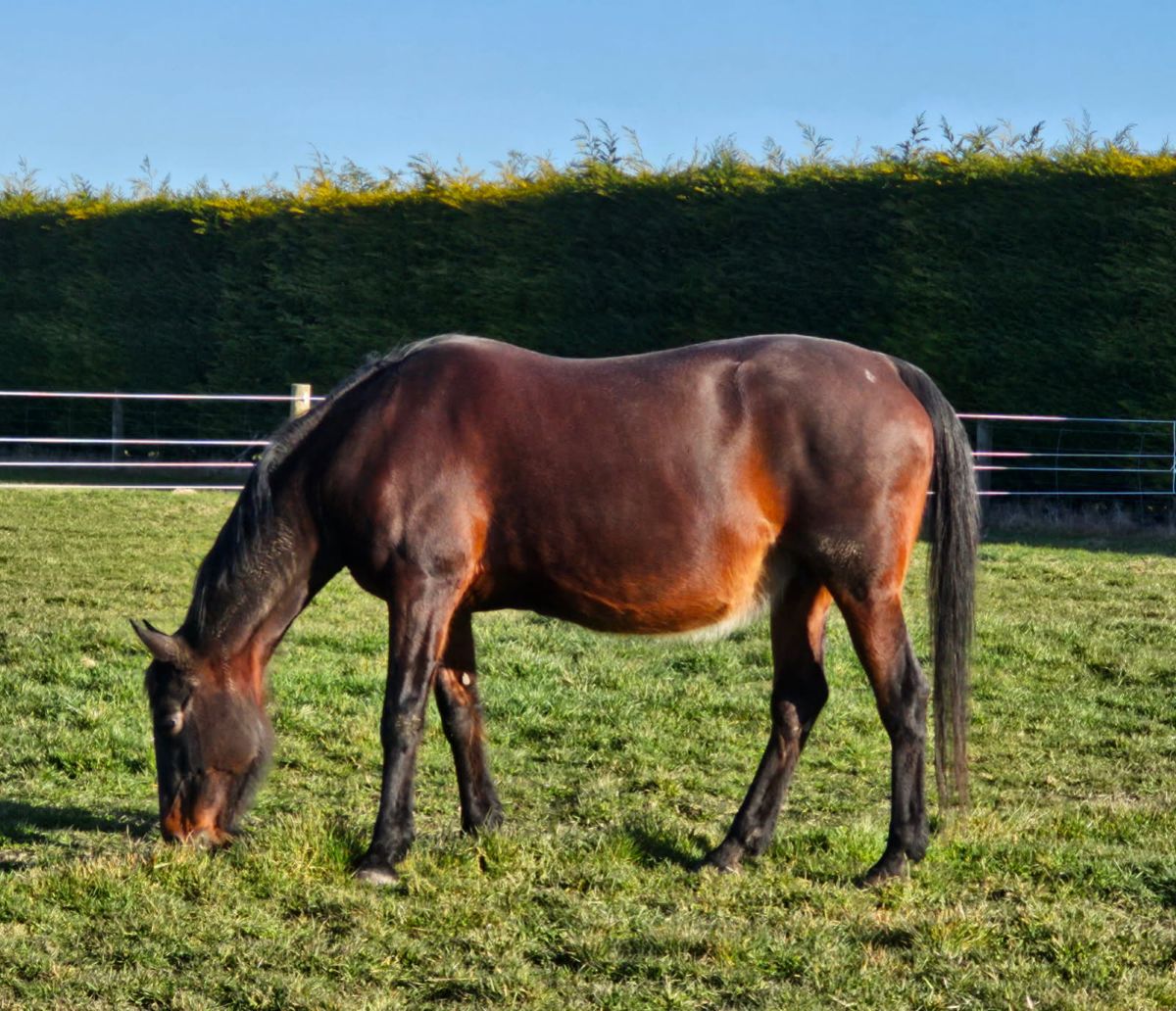 Jill’s One Dream 6