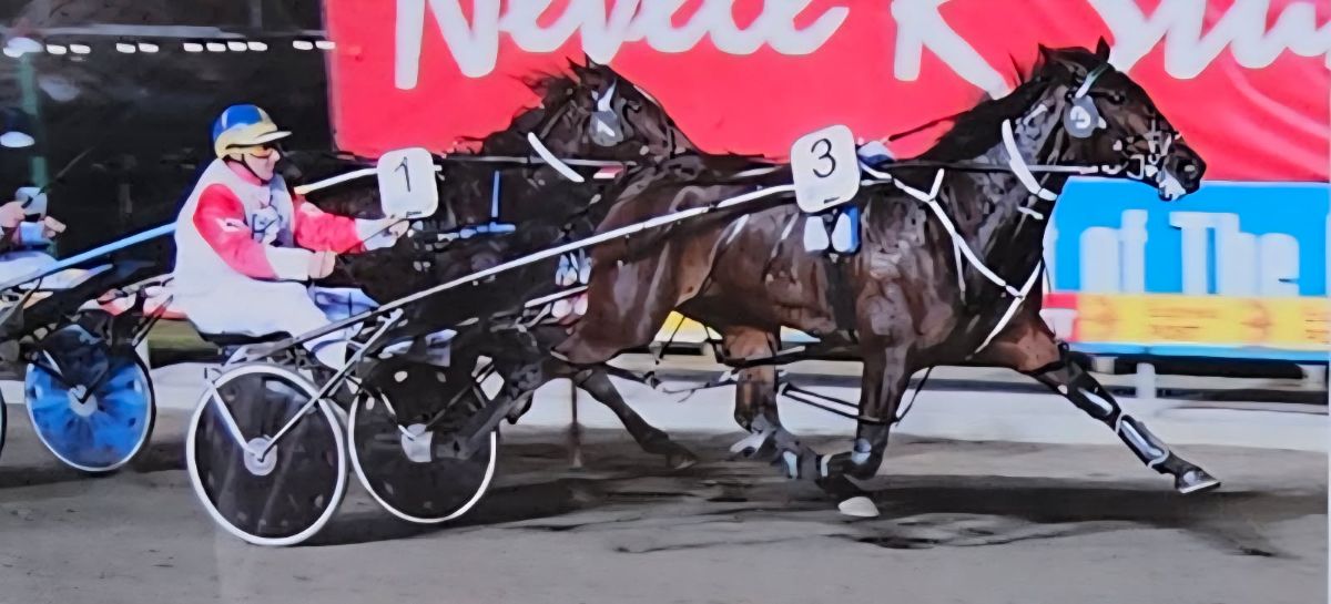 Jill’s One Dream 5