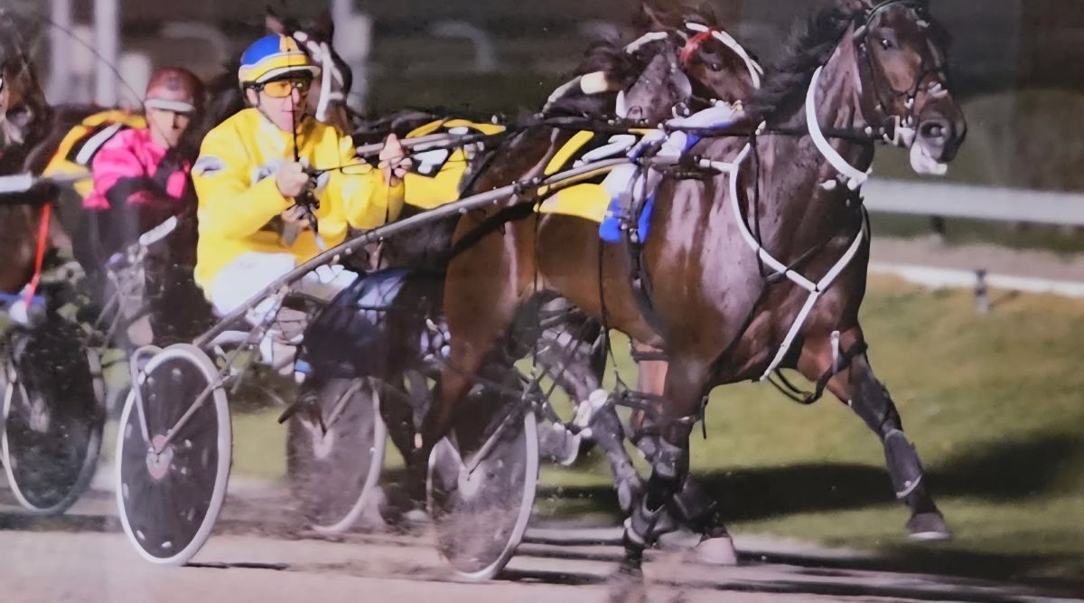 Jill’s One Dream 4