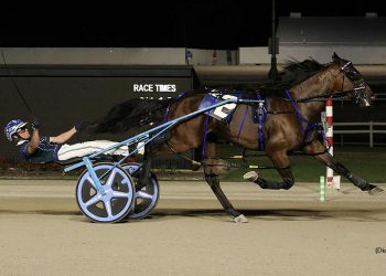 Prince Hal Hanover too good in $300,000 Carl Milstein Memorial