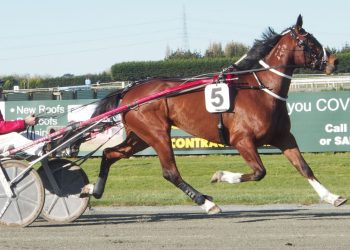 Darren DeFilippi Memorial special for Williamson