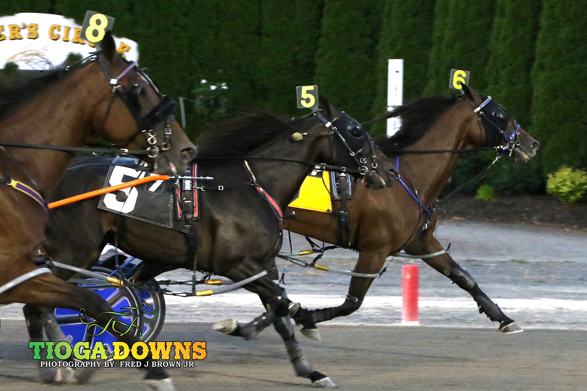 Quarrel gets third win of the season 1