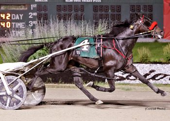 Quick Trick takes aim at $100,000 President’s Pace