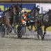 Anton Golino and Will Rixon combine to win Trot on Rakero Blaze