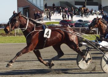 Rangitata wins on debut