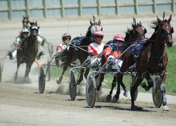 OHHA to Live Stream Races from Ross and Richland County Fairs
