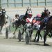 OHHA to Live Stream Races from Ross and Richland County Fairs