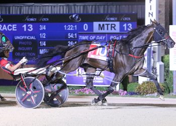 Sabonis sensational in $300,000 Grade 2 Dan Patch