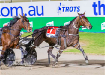 Sahara Breeze makes it three on end in narrow win