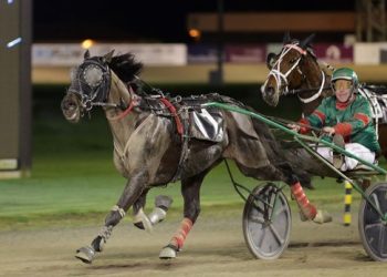 Downey has one and maybe two for Harness 5000