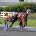 Graffam wins five including feature trot 1 Graffam wins five including feature trot