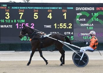 Senses looks the goods