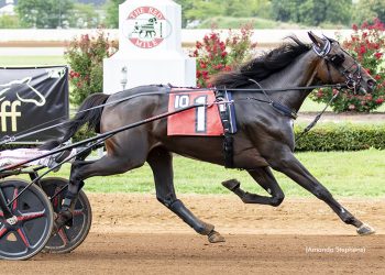 Setyoursightshigh remains hot in KSS