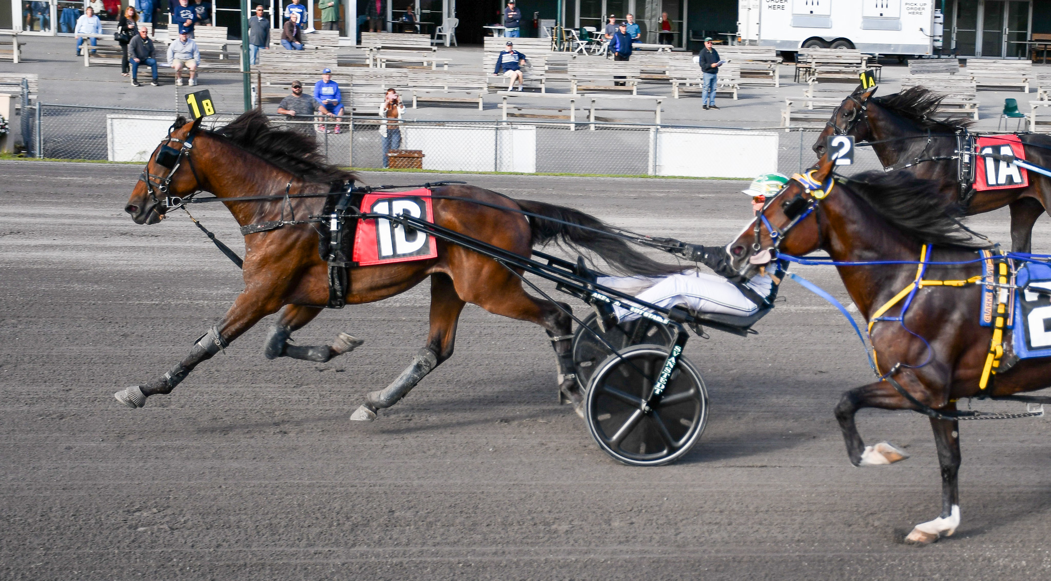 Seven Grand trots to $112,100 NYSS victory 1