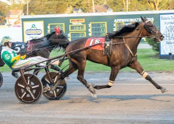 Sharp Seven was on point in NYSS at Batavia