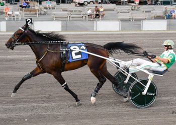 Sharp Seven looks tough in NYSS at Batavia Downs Wednesday